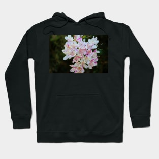 Bicolor Azaleas Hoodie